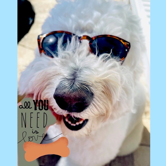 Meet The Vice President π - Picture 6 of 17